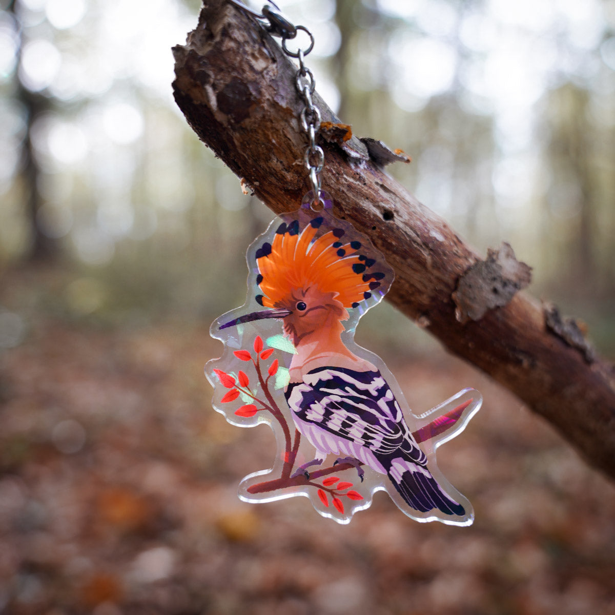 Acrylic Keychain - "Common Birds"
