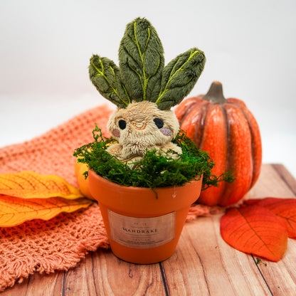 Plush Mandrake in Pot