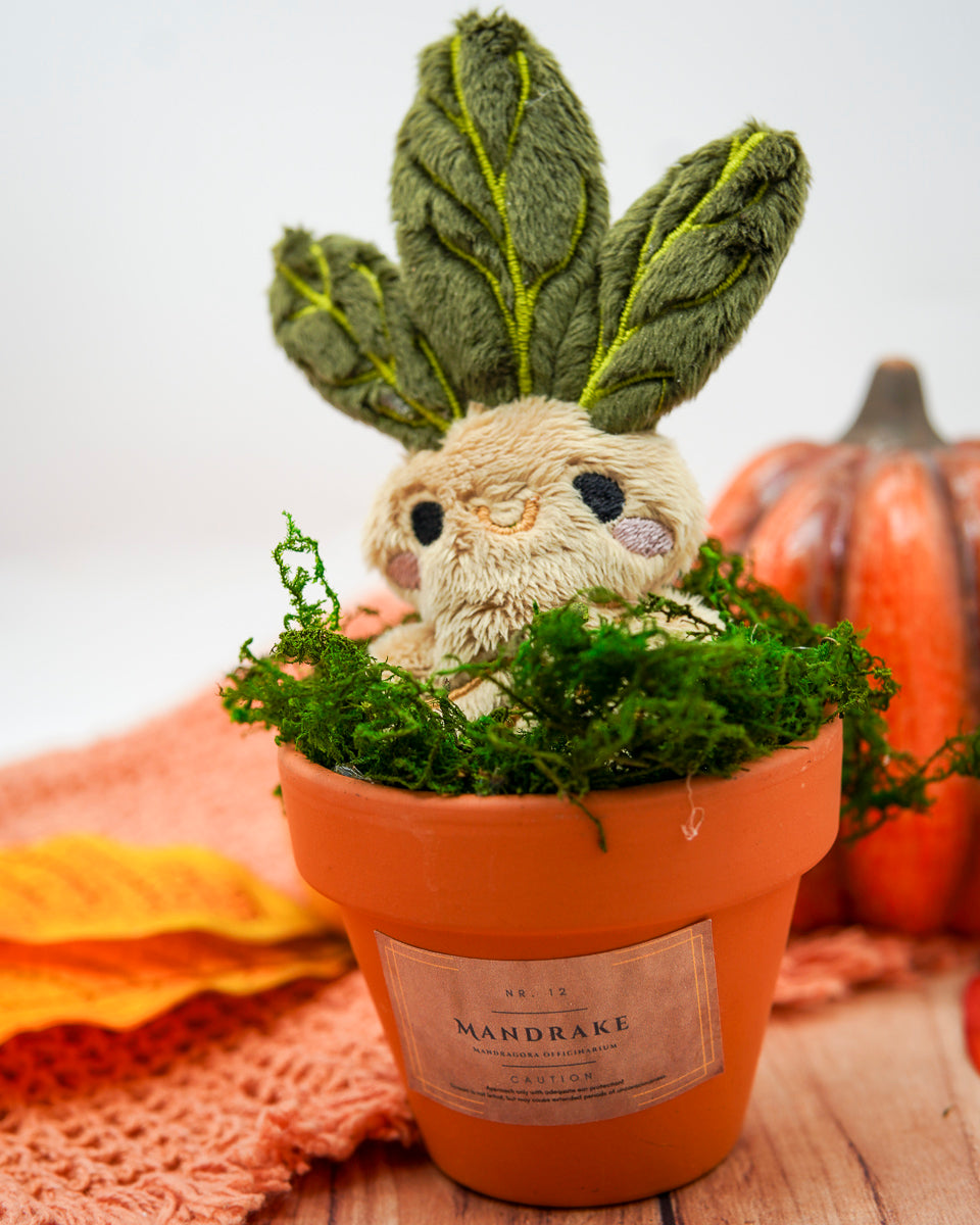 Plush Mandrake in Pot