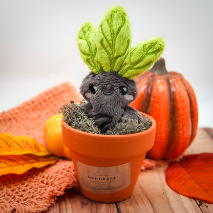 Plush Mandrake in Pot