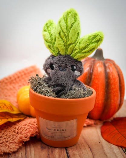 Plush Mandrake in Pot