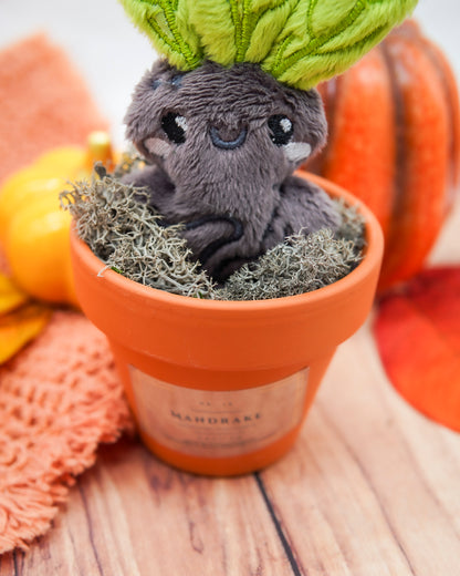 Plush Mandrake in Pot