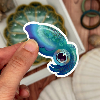 Vinyl Sticker "Big Cuttlefish"