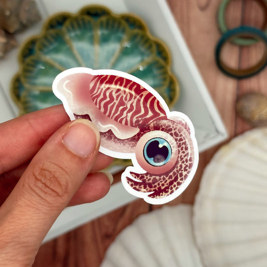 Vinyl Sticker "Big Cuttlefish"