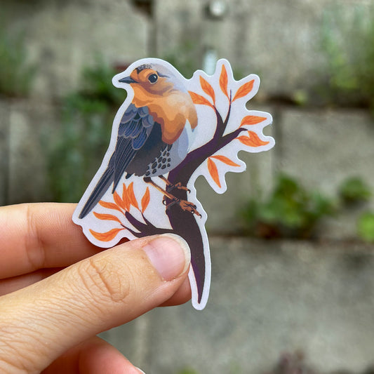 Vinyl Sticker "Robin"