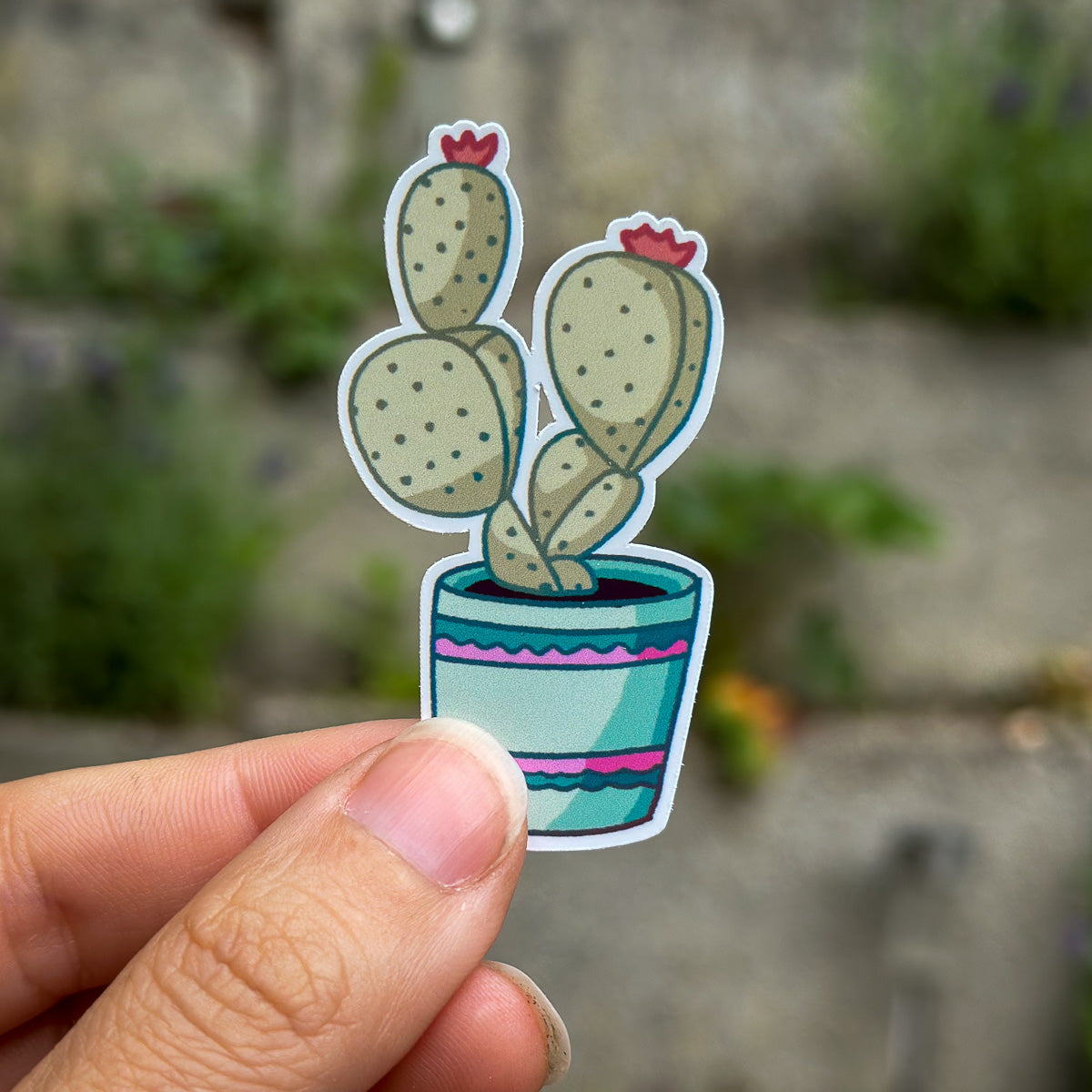 Vinyl Stickers "Cactus Cuties"