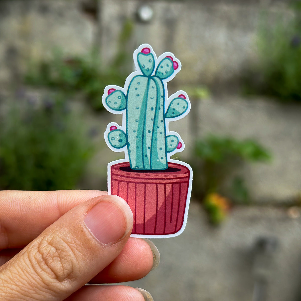 Vinyl Stickers "Cactus Cuties"