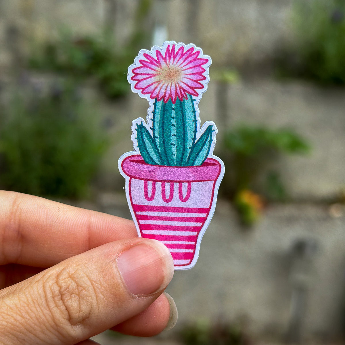 Vinyl Stickers "Cactus Cuties"